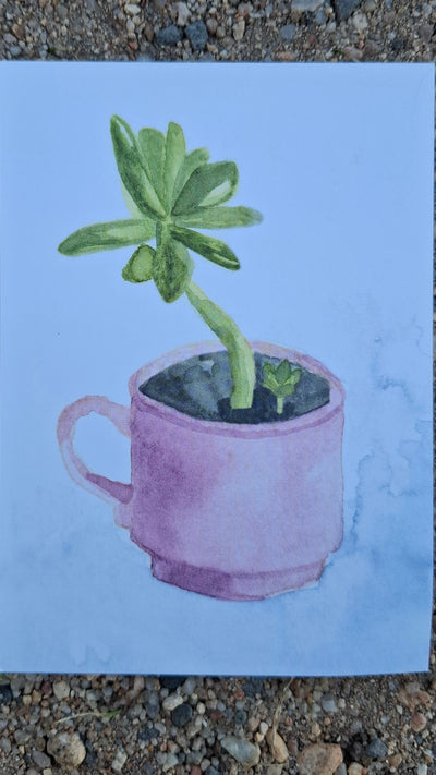 Little Bloom