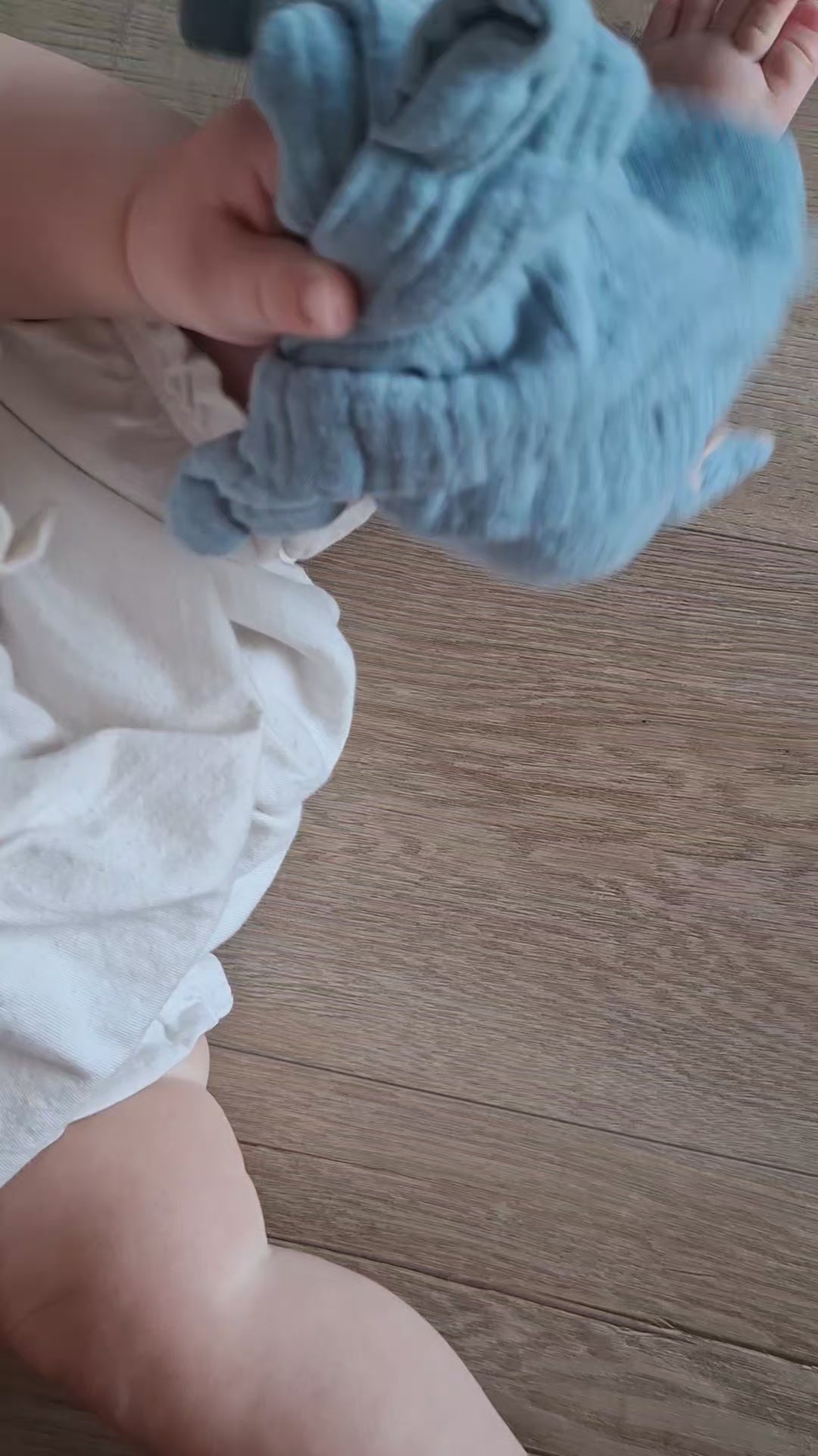 Bluebell Bunny Comforter